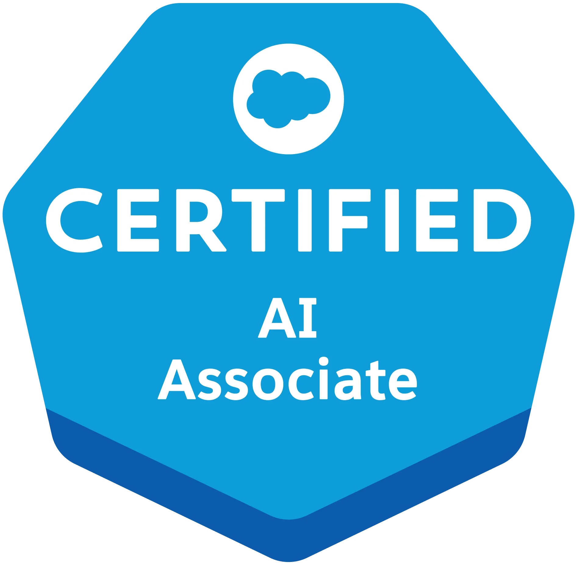 Salesforce AI Associate
